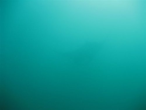 IMG_1381